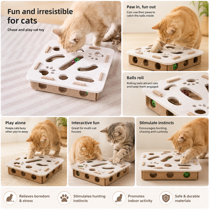 Interactive Cat Puzzle Toy