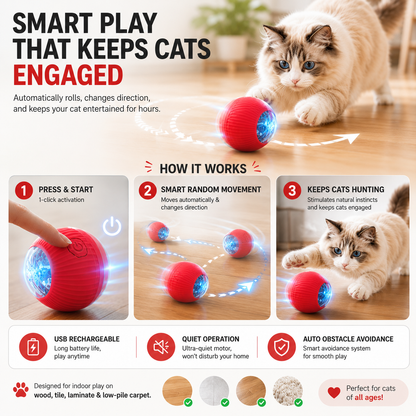 Interactive Cat Feather Toy