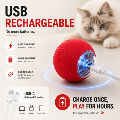 Interactive Cat Feather Toy