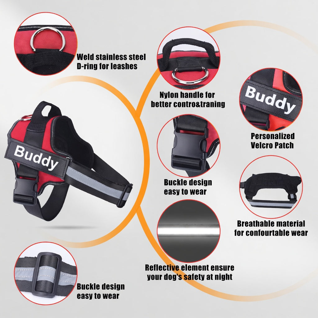Adventure Dog Gear Set