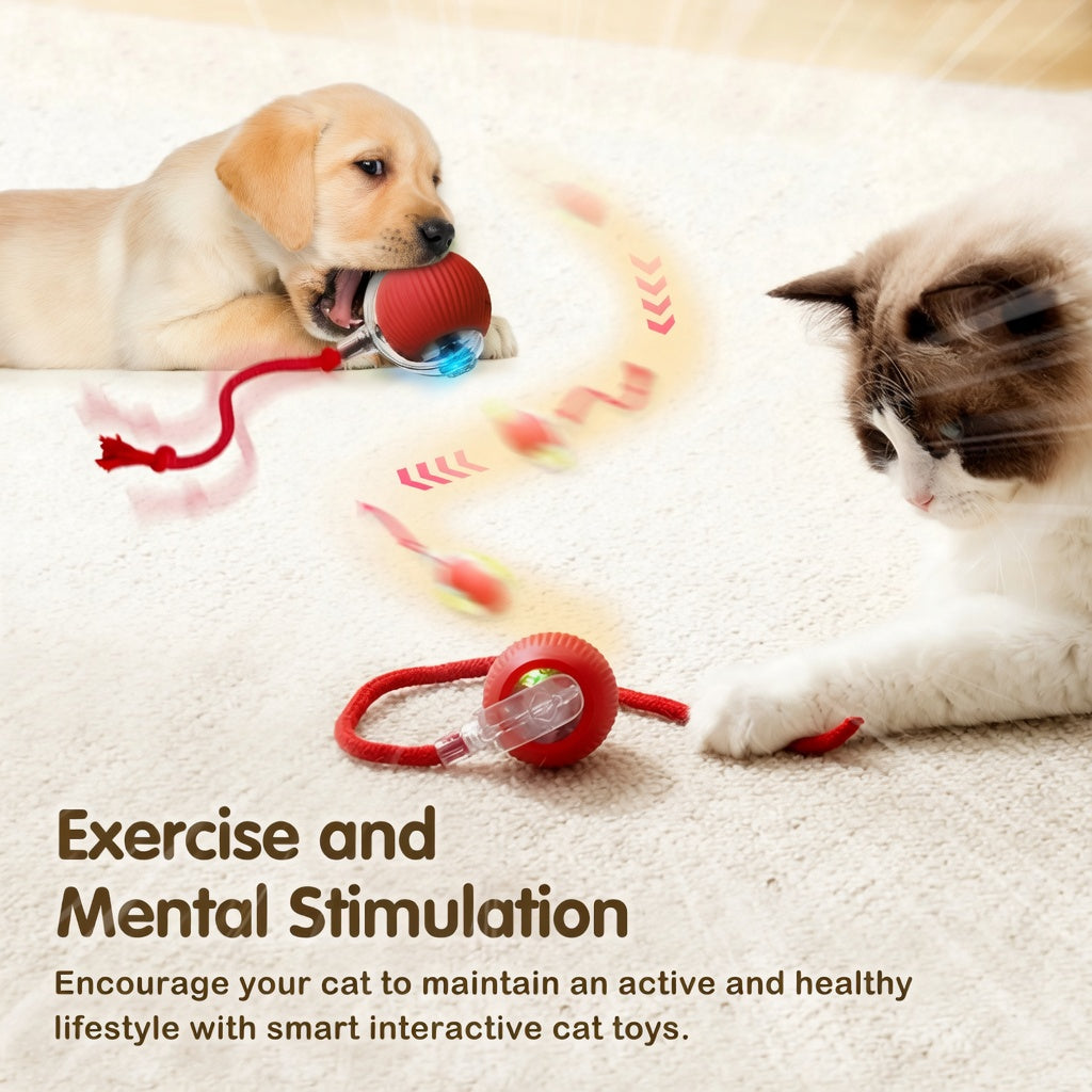 Interactive Cat Feather Toy