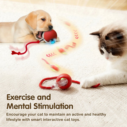 Interactive Cat Feather Toy