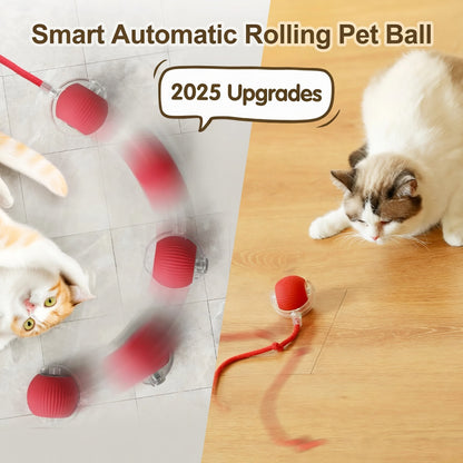 Interactive Cat Feather Toy