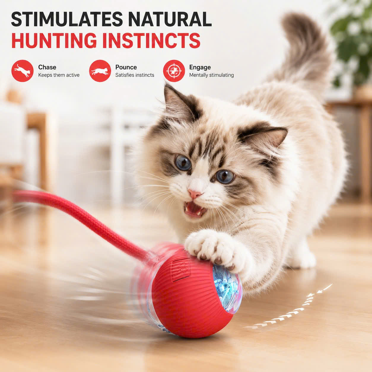Interactive Cat Feather Toy